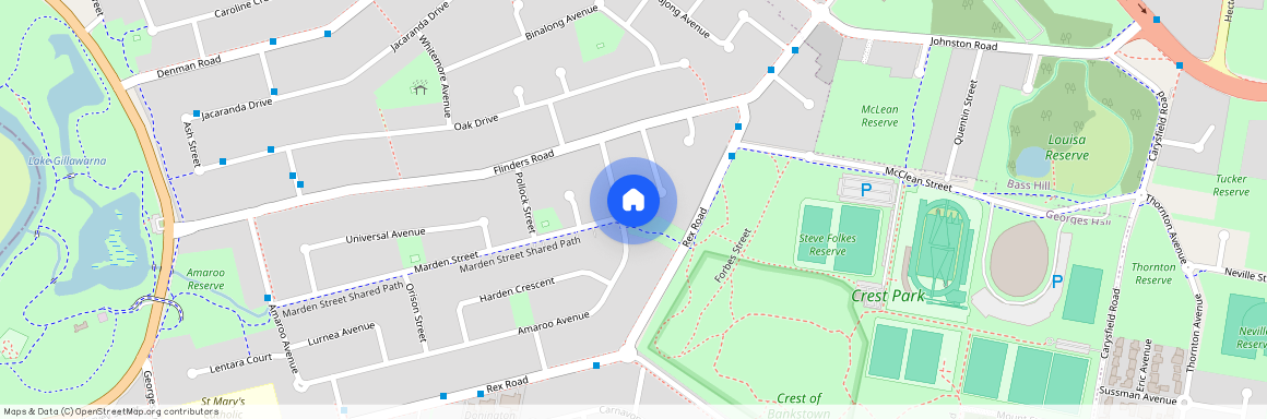 117 Amaroo Ave, NSW 2198, Georges Hall