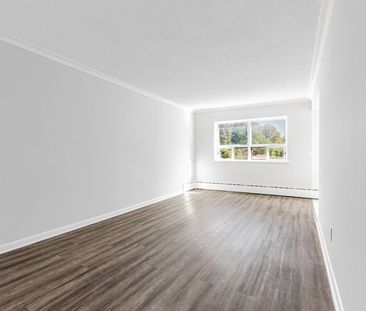 For Lease - 1243 Broadview Avenue Unit# 306, Toronto, Ontario - Photo 4