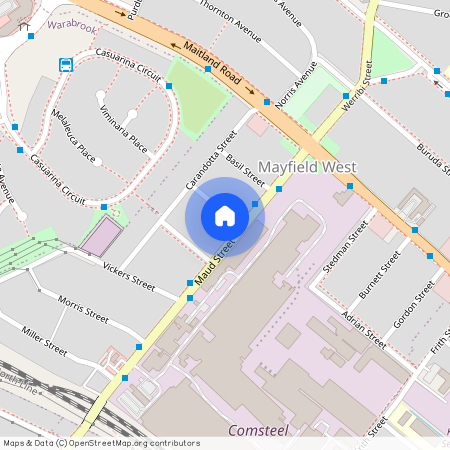 25 Maud Street, Mayfield West NSW 2304