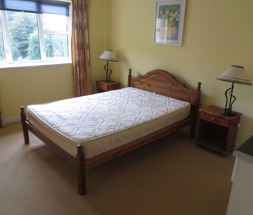 Tivoli Woods - Available for 5 Months, Cork City Centre - Photo 2