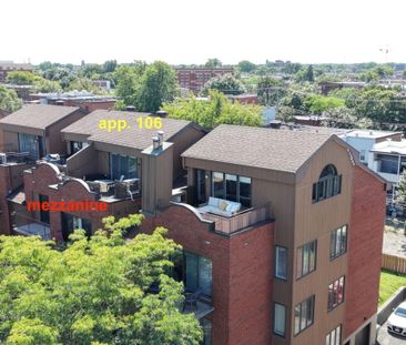 15 Rue de la Poudrière, app.106, H4G 3J5, H4G 3J5, Montréal - Photo 3