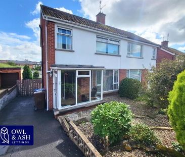 14 Victoria Park, Newtownards, BT23 7EF - Photo 6