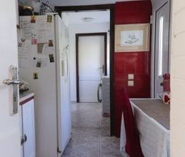 Μονοκατοικία για ενοικίαση - Δροσιά - Photo 5