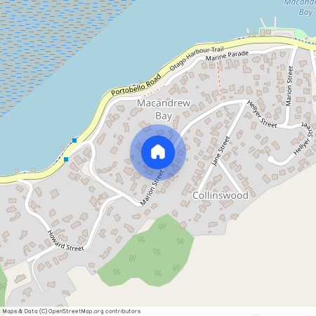 29 Marion Street, Macandrew Bay, Dunedin