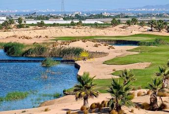 2 BEDROOM GROUND FLOOR APARTMENT - TERRAZAS DE LA TORRE