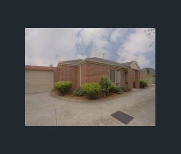 Tidy Home Within Walking Distance to Bayswater - Photo 6