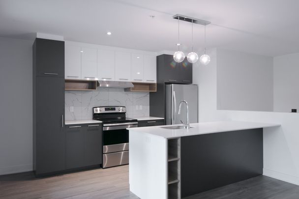9675 Av. Papineau - Photo 1