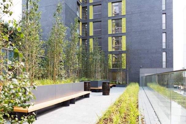 Studio to rent - Photo 1