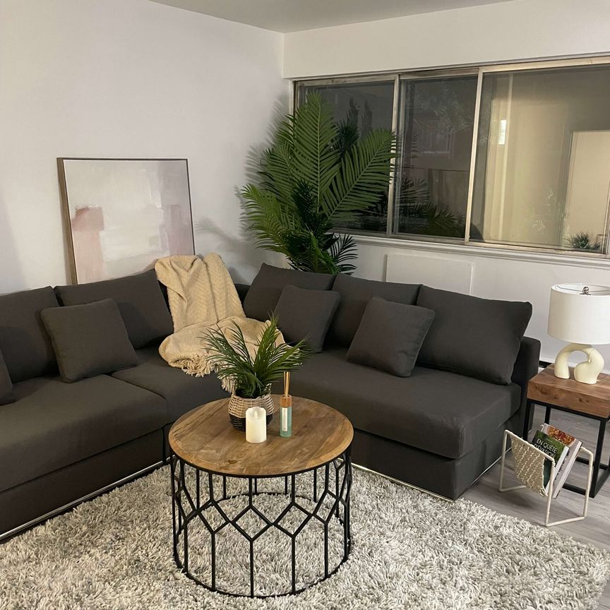 6800 Côte Saint Luc Road - Beautiful 1-bedroom apartment - Photo 1