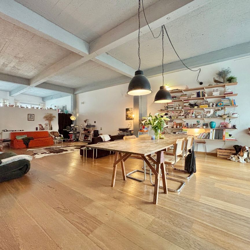 Hirondelles 15 - Photo 1