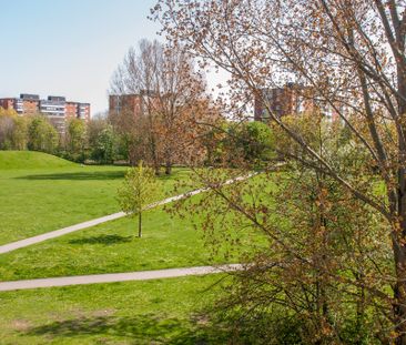 Segevångsgatan, Malmö - Foto 4