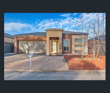 Spacious Family Home in the Heart of Derrimut - Photo 4