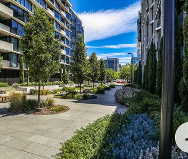 230/81 Cooyong Street, Reid ACT 2612 - Apartment For Rent | Domain - Photo 6