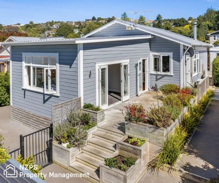 50 Chapman Street, Wakari - Photo 4