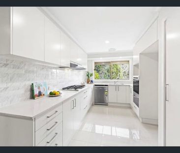 Corner Block Beauty in the Heart of Kings Park - Photo 6