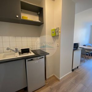 T2 meublé à louer sur PAU (64000) - Photo 2