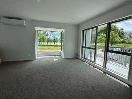 Sunny & spacious overlooking Hagley Park - Photo 5