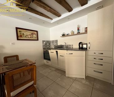 Location Appartement 1 pièce 20m² CHARLIEU 42190 - Photo 6