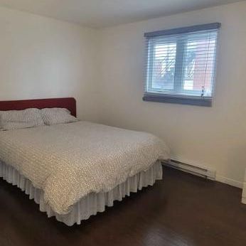 Beau 4 ½ propre et lumineux à louer à St-Jean-sur-Richelieu - rénové - Wifi inclus - Photo 3