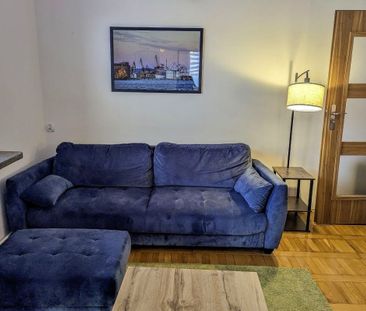 Plaża Od zaraz Długi Termin Zwierzęta - Photo 4