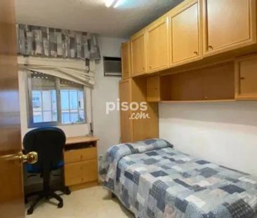 Piso en alquiler en Pino Montano - Foto 4