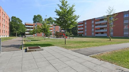 Kinderparadies bei der Grün80 - Photo 2