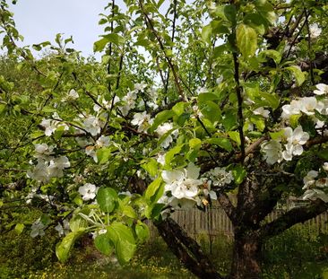 Hedborns gata, Linköping - Foto 2