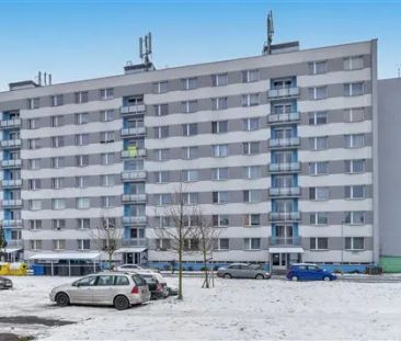 Avízo krásného pronájmu, Vánoce 2026 v novém - Fotografie 6