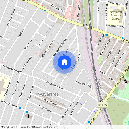 Plumer Street, Wavertree, Liverpool, Merseyside, L15