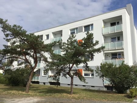 Helle 4-Zimmer-Wohnung in Lampertheim - Photo 3