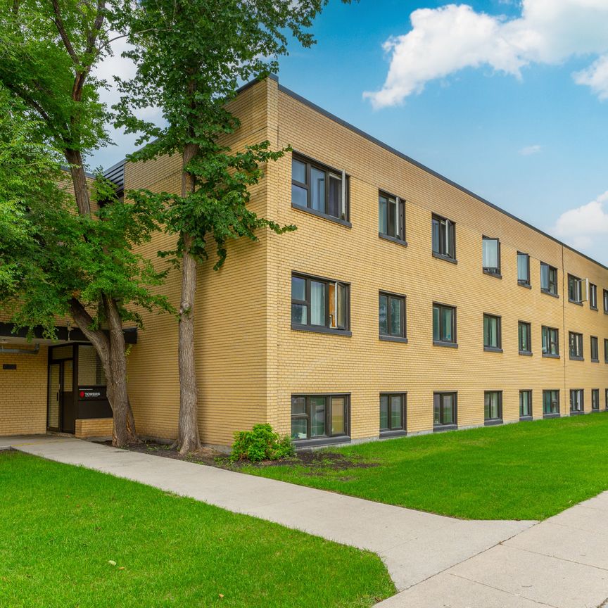 Lady Dale & Lady Robin - Photo 1