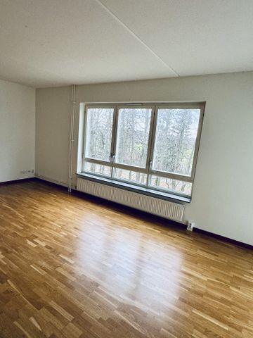 Fredagsgatan, Helsingborg - Foto 3