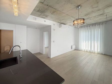 1971 Rue du Havre Montréal (Ville-Marie), QC H2K - Photo 5