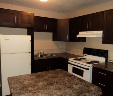 103, 6727 - 59 Ave - Photo 2