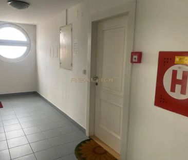 Pronájem bytu 1+kk přímo na ulici Česká v centru města - Fotografie 2