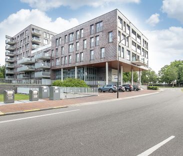 Disselhof 4 Apeldoorn - Foto 5