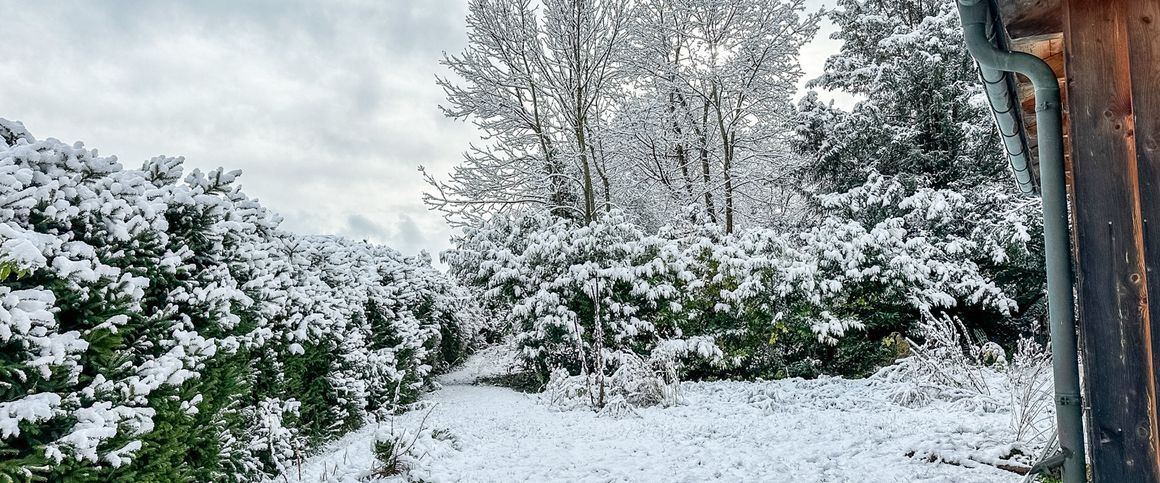 Gemütliche Gartenwohnung mit befristeter Mietdauer - Foto 1