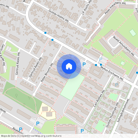 Peter Bruuns Vej 65 1 2, 9210 Aalborg SØ