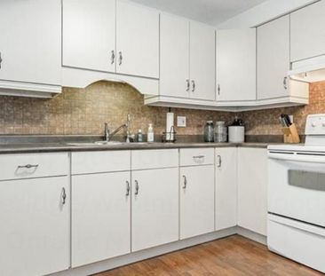 For Lease - 11 Miller Street Unit# Lower, Guelph, Ontario - Photo 5