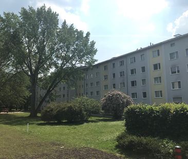 Praktische Raumaufteilung auf ca. 62 m² – ideal für Paare oder klei... - Photo 1