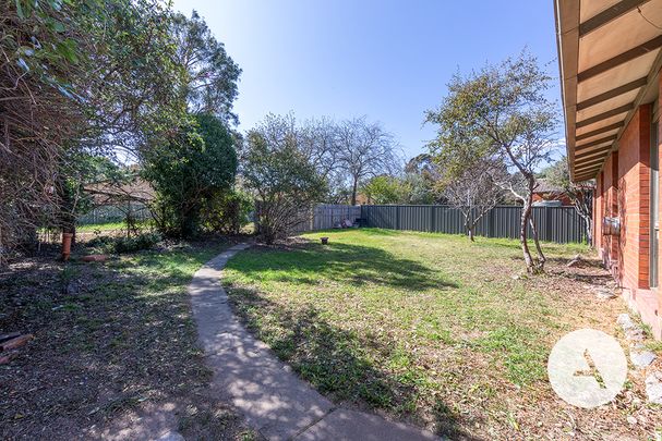 3 Dangar Pl, Charnwood ACT 2615 - House For Rent | Domain - Photo 1