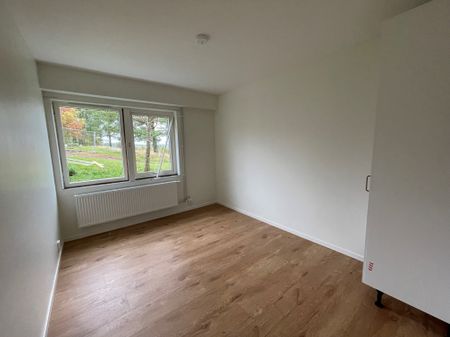 Vikingagatan, Gnosjö - Foto 2