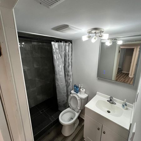 For Lease - 96 Honey Street Unit# Bsmt, Cambridge, Ontario - Photo 4