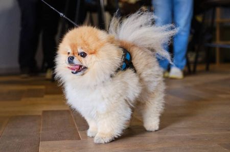 Egremont House, E20 1BF, London - Photo 2