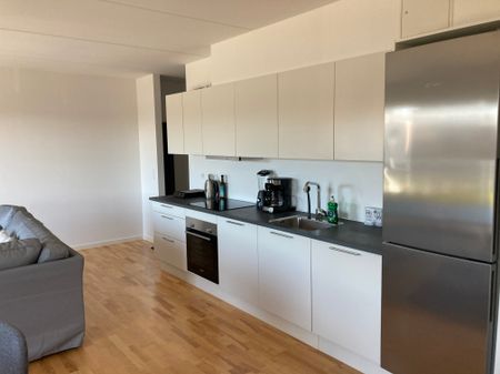 Kæledyr er tilladt, skønt naturrigt område - Photo 5