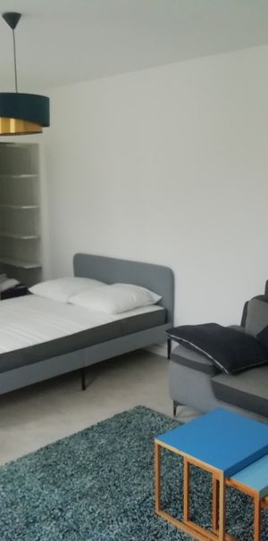 Location Appartement T1 meublé - Hyper Centre - Photo 1