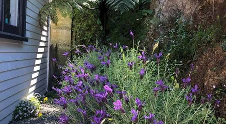 Amazing 2bedroom house - Photo 5