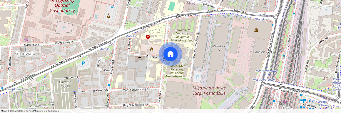 ul. Śniadeckich 33, Grunwald, Grunwald, Poznań, wielkopolskie