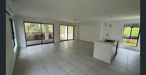 Heart of Brookwater - Photo 1