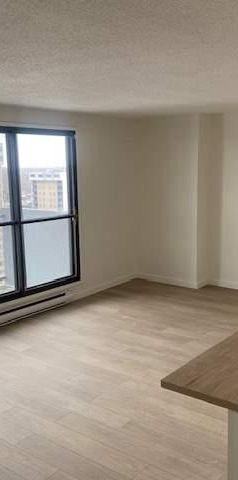 Spacieux appartement 4 ½ - 99 Place Charles-Lemoyne - Photo 1